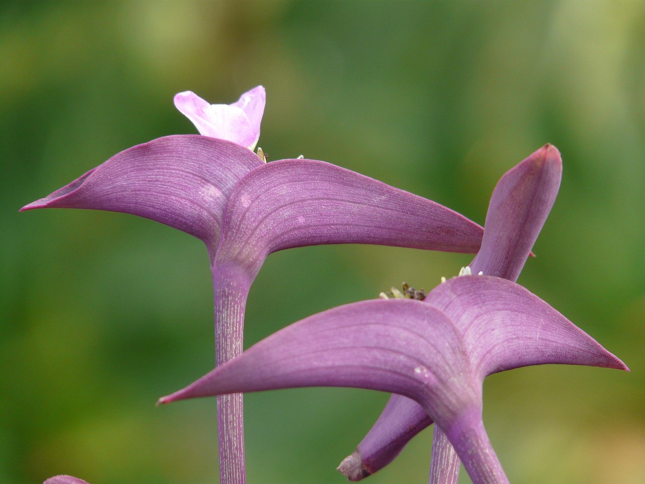 蜗牛行情稳健前行,静待花开之路