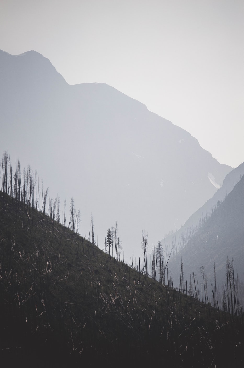 泗水新闻最新动态,城市发展与民生改善同步前行