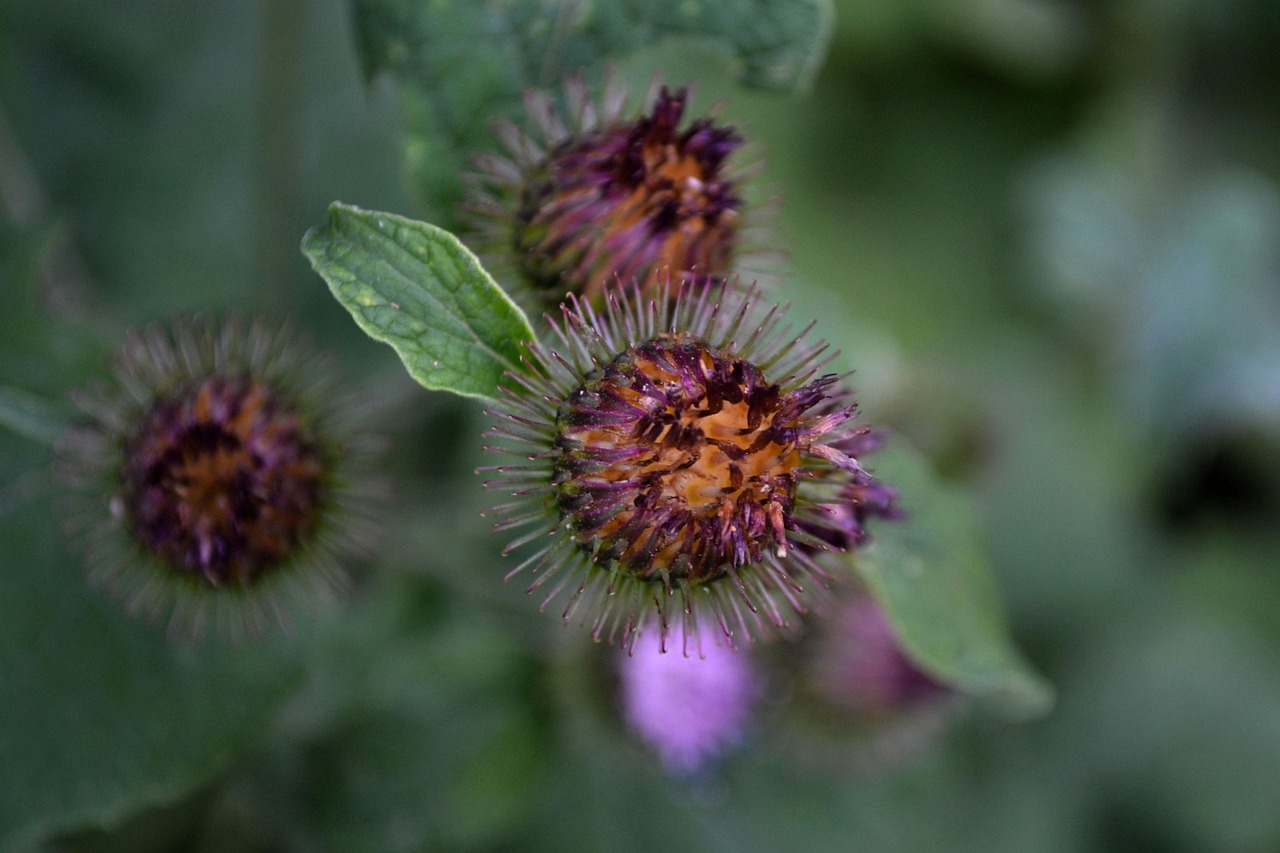 南川区资讯概览,最新动态与资讯全览