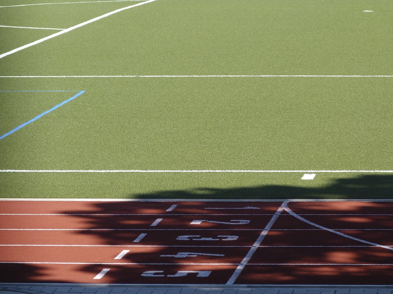 标枪投掷大赛,力量与技巧的完美融合