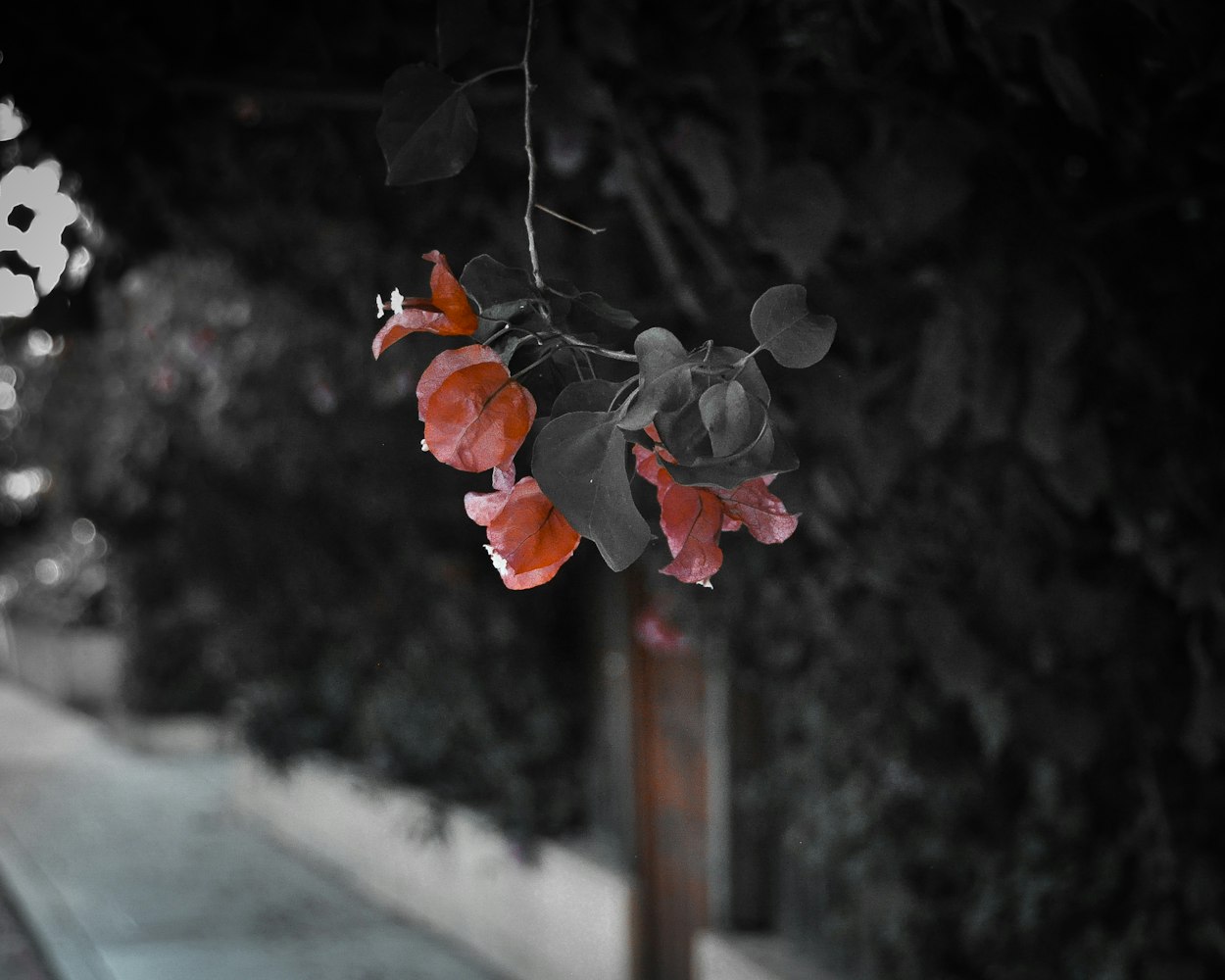 韩国爱情电影网，探索浪漫爱情故事的无限魅力