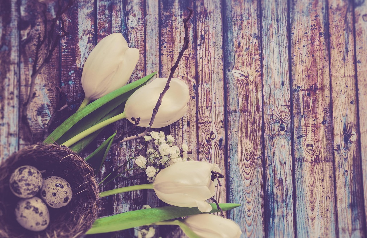 动漫之春,彩色梦境的绽放