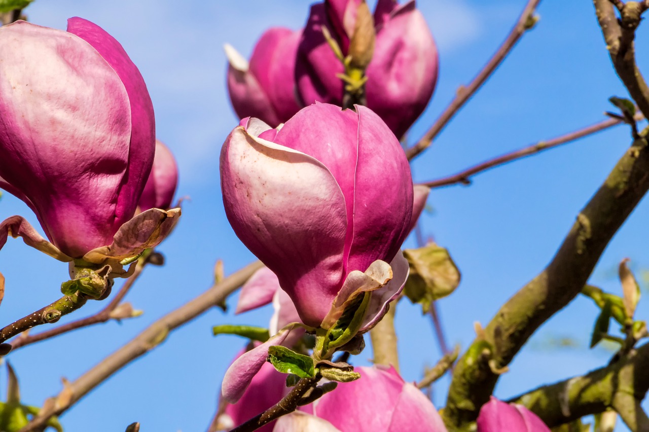 白银实时价格,市场动态、影响因素与投资策略深度解析