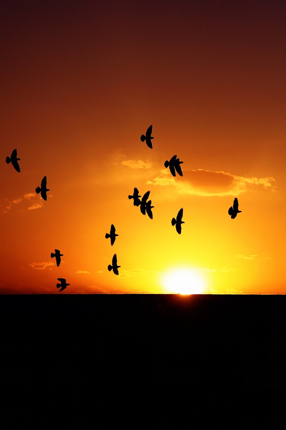 时光与你别来无恙，流年中的温暖邂逅免费观看