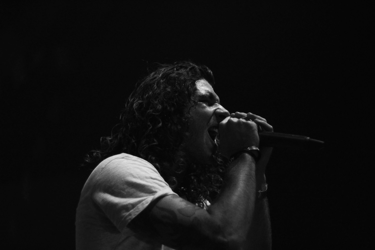 磊哥新视频，热血激情与深度思考交织的视听盛宴