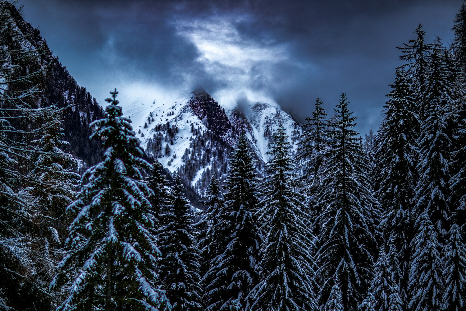 贵港市人才招聘信息概览,最新职位与招聘动态