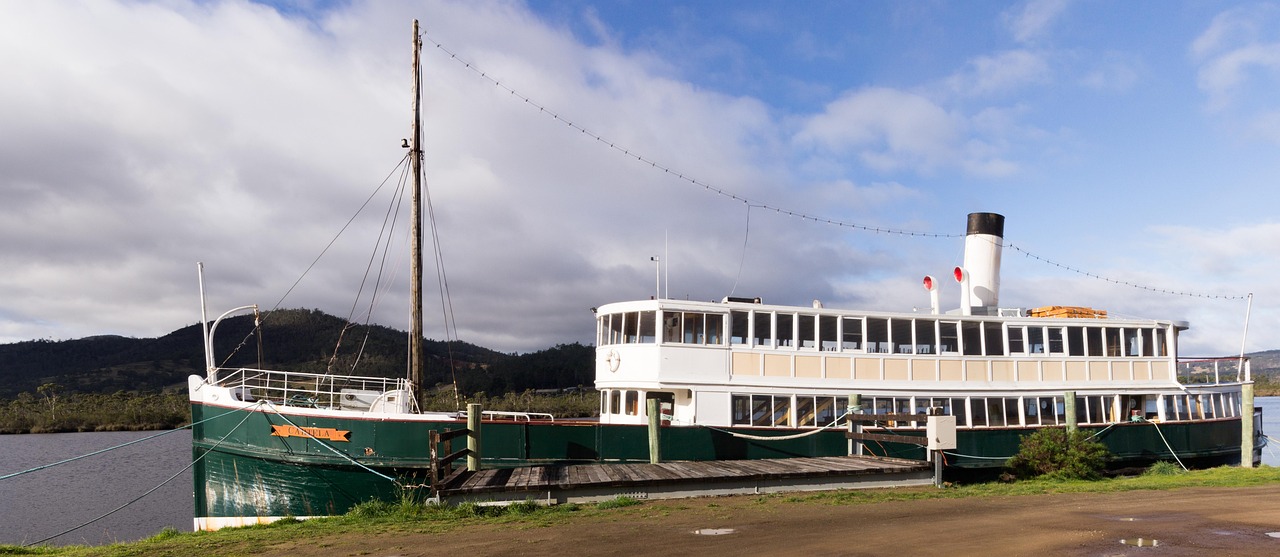 Nova皇室战争新动态，引领游戏变革，成为战场风向标