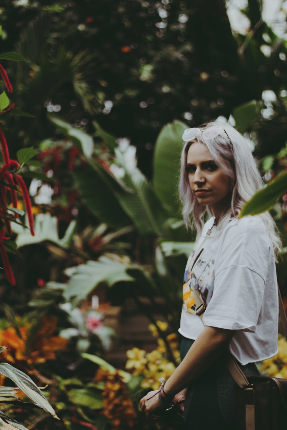 最新养老政策动态，构建更完善的养老服务体系的探索