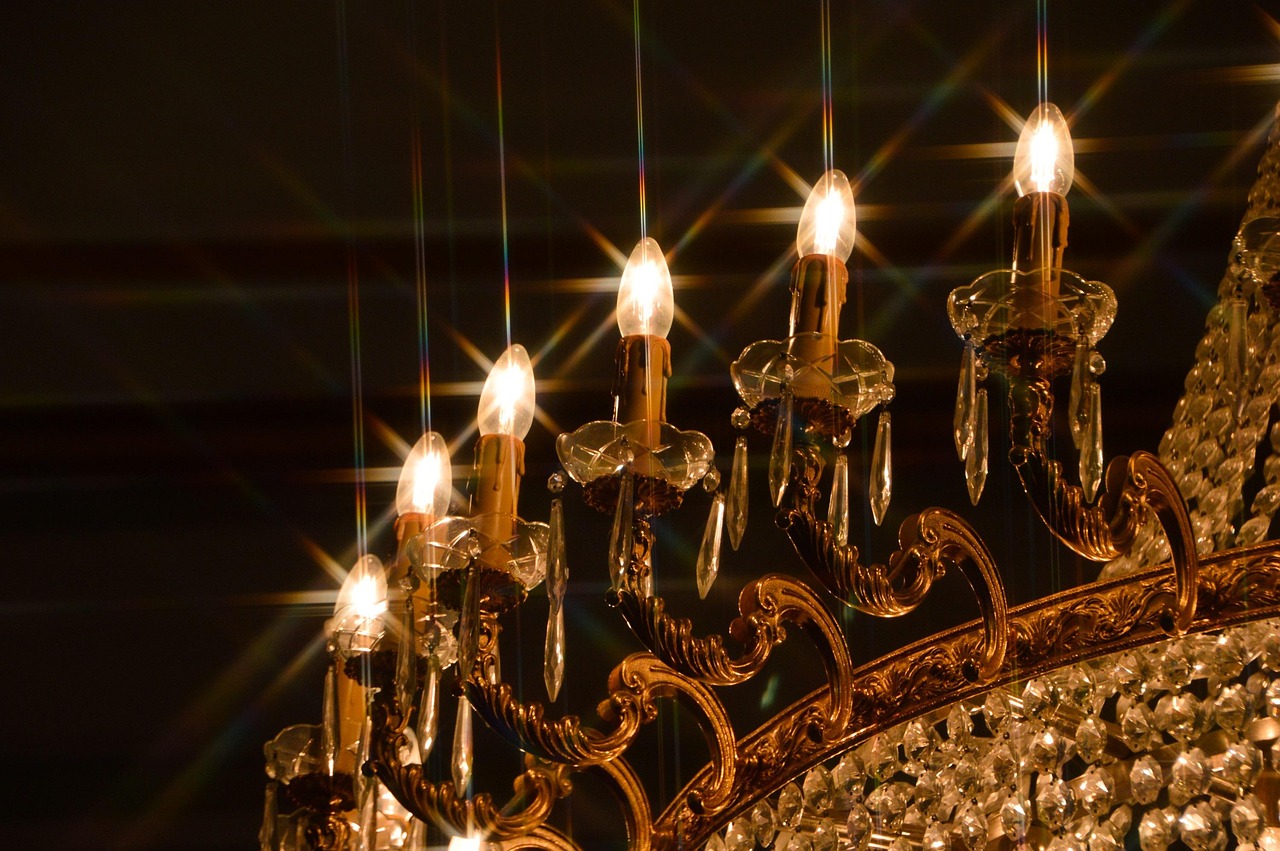 杨蓉最新动态，明星光芒持续闪耀