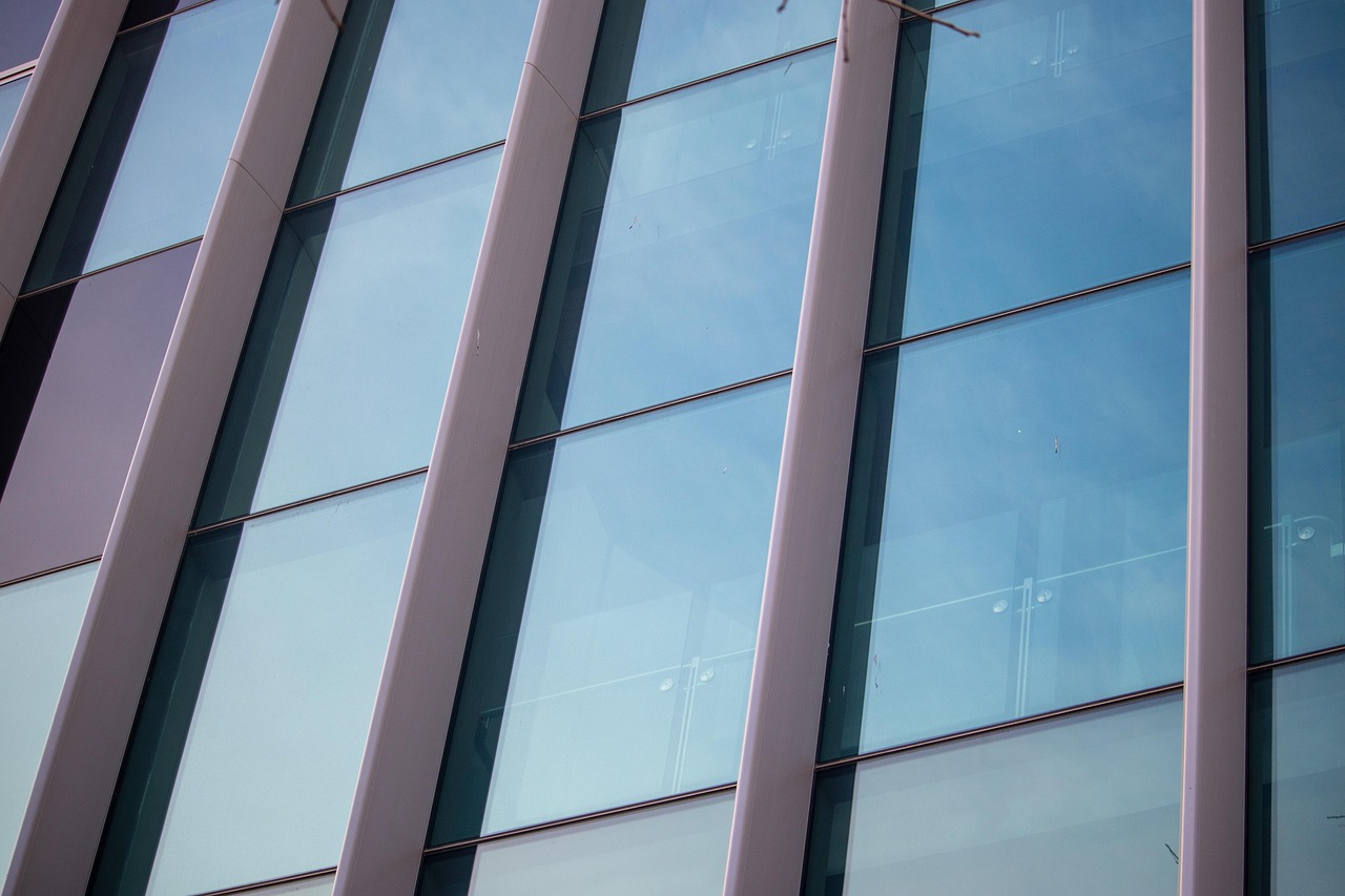 赵薇全面发展，影视、商业与公益事业的最新动态