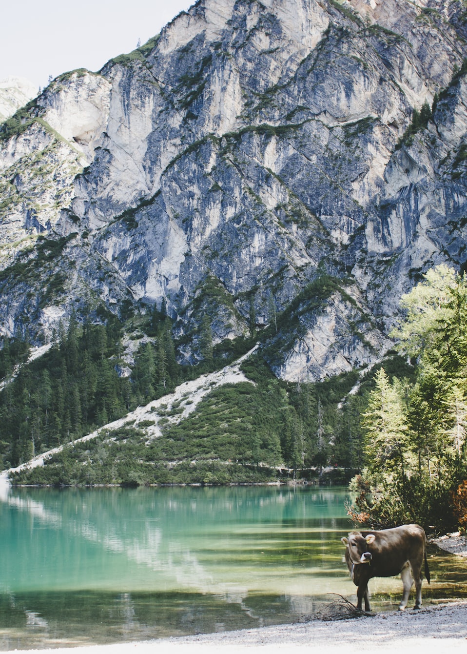 最新瀑布流技术的探索、应用及前景展望