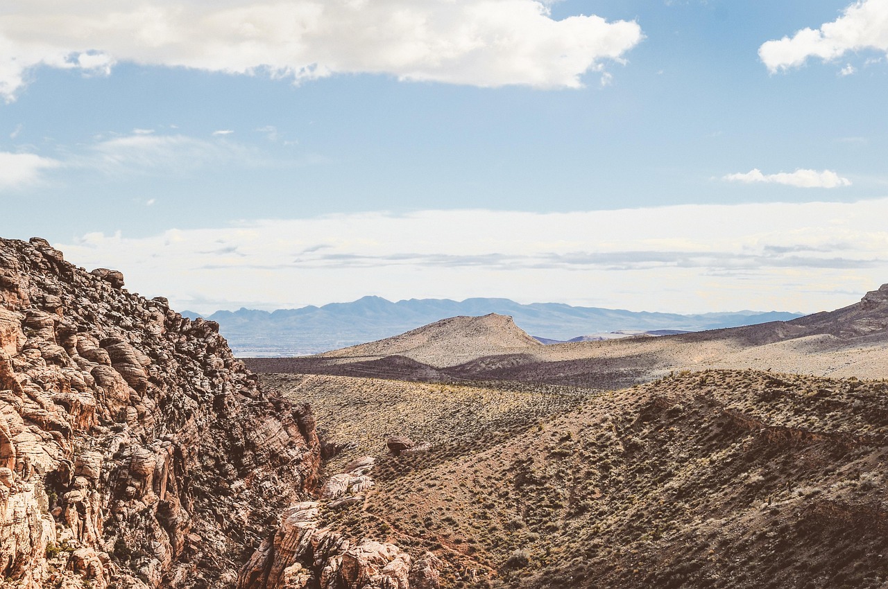 吴欣动态揭秘,探索明星之路的旅程