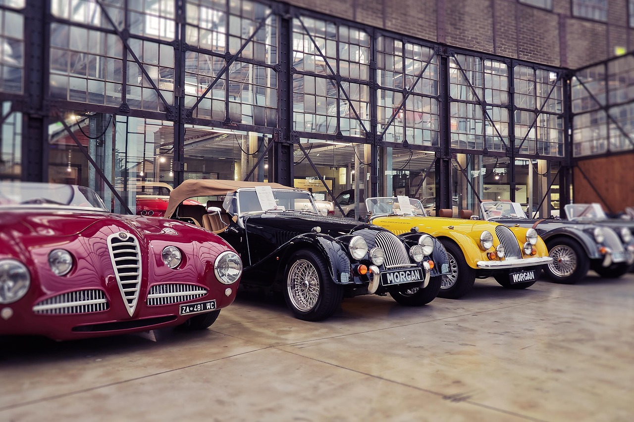 风女新动态，引领风尚，展现独特魅力