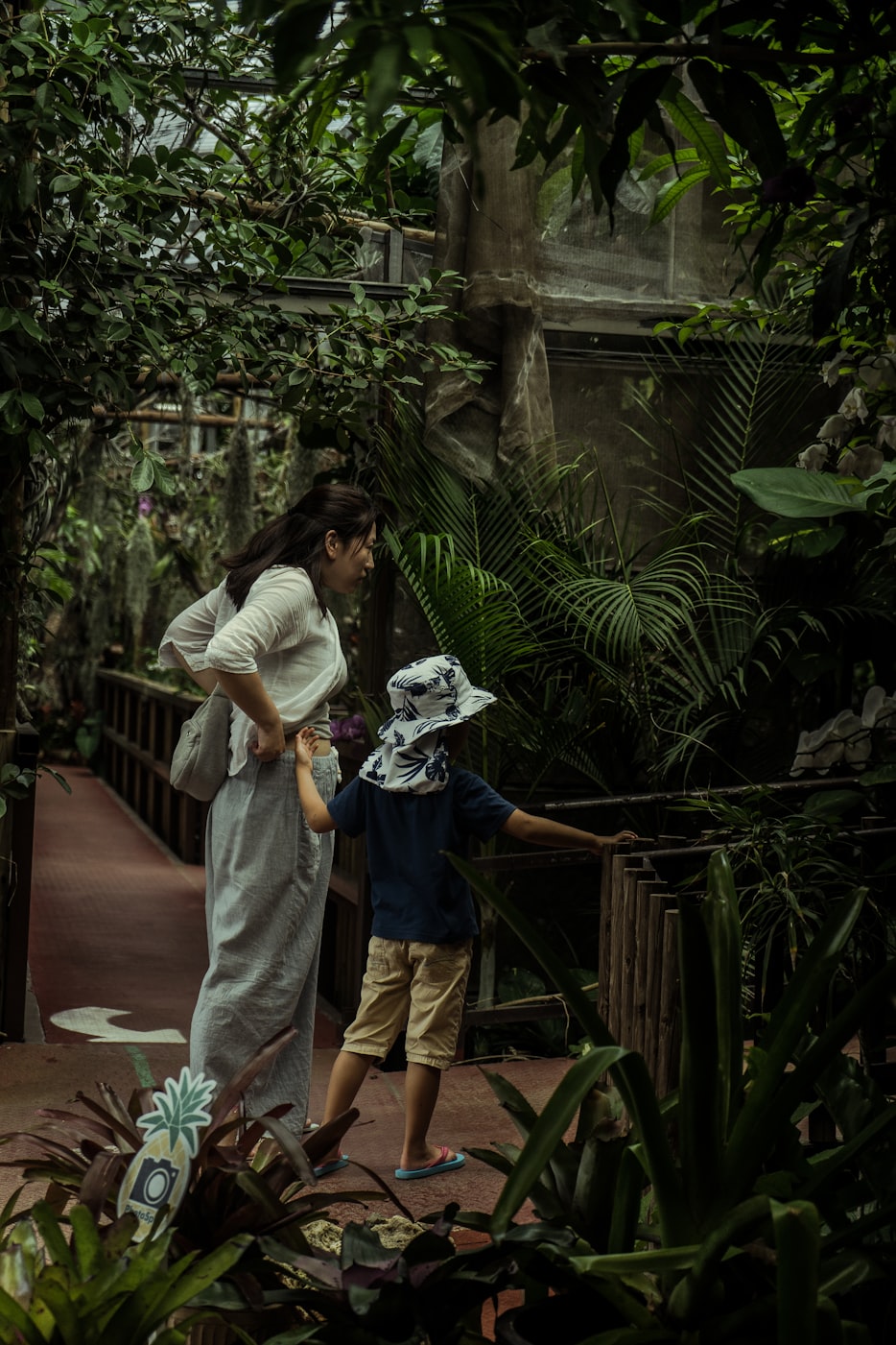 电视剧妈妈再爱我一次,情感与生活的交织故事