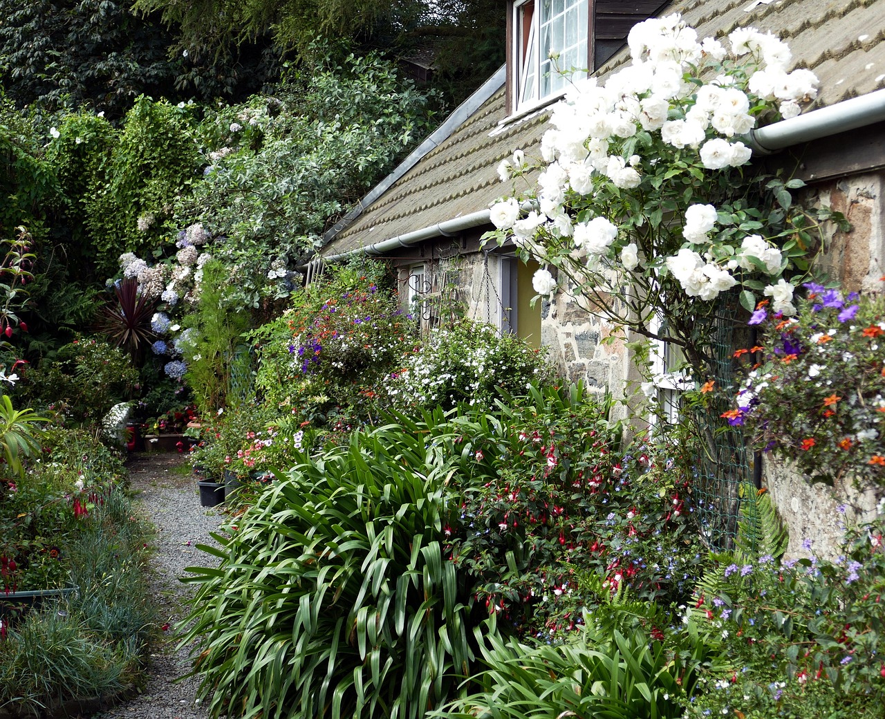 探索萌力世界，萝莉花园最新资源汇总