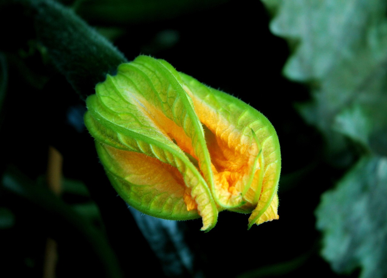 京广返现最新动态,重塑物流运输行业的里程碑进展