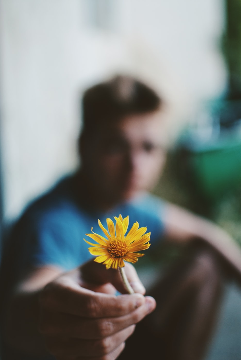 小花电影免费观看,影视娱乐新时代的探索