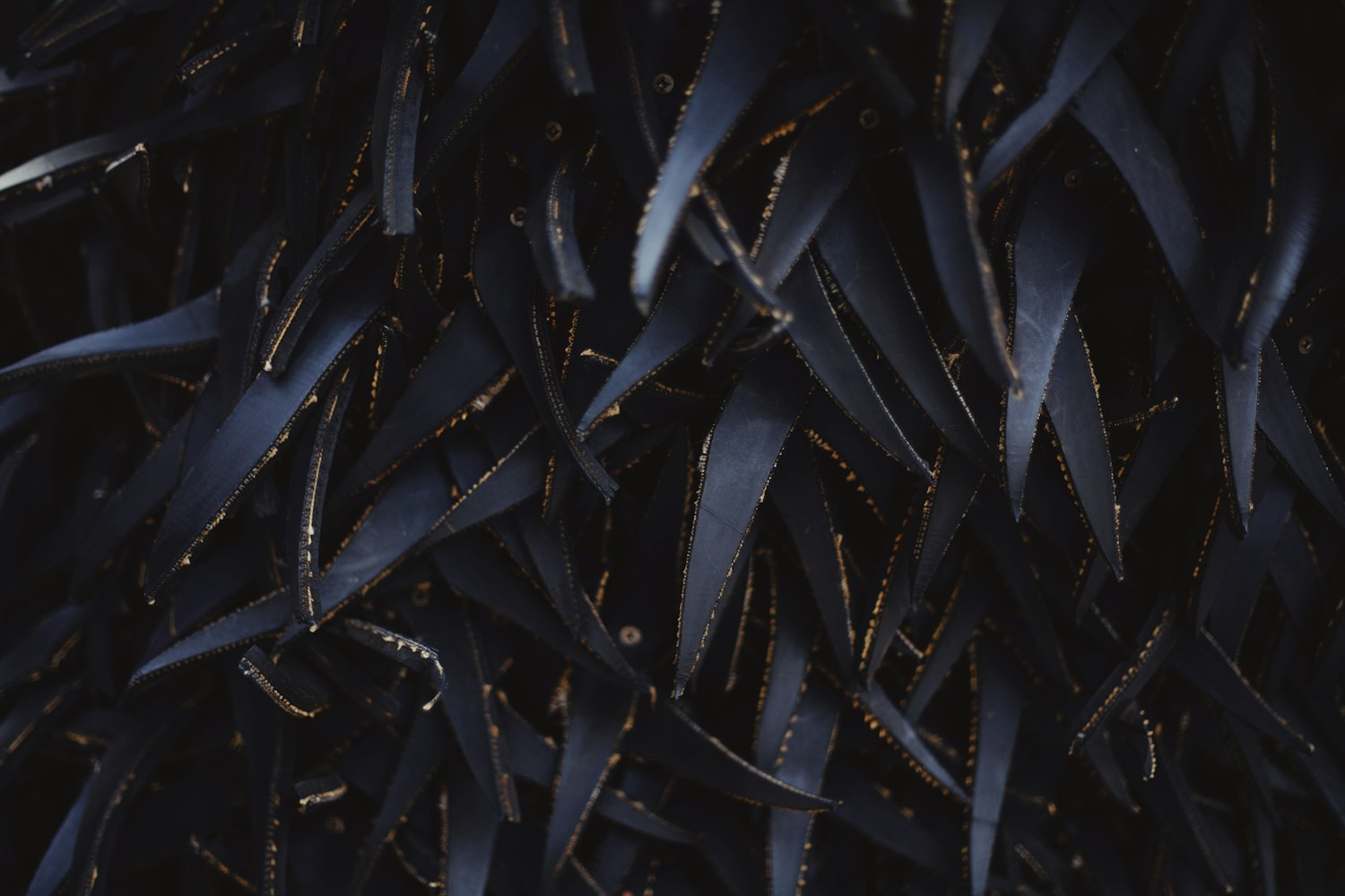 石家庄市领导层最新动态,推动城市高质量发展与改革创新实践