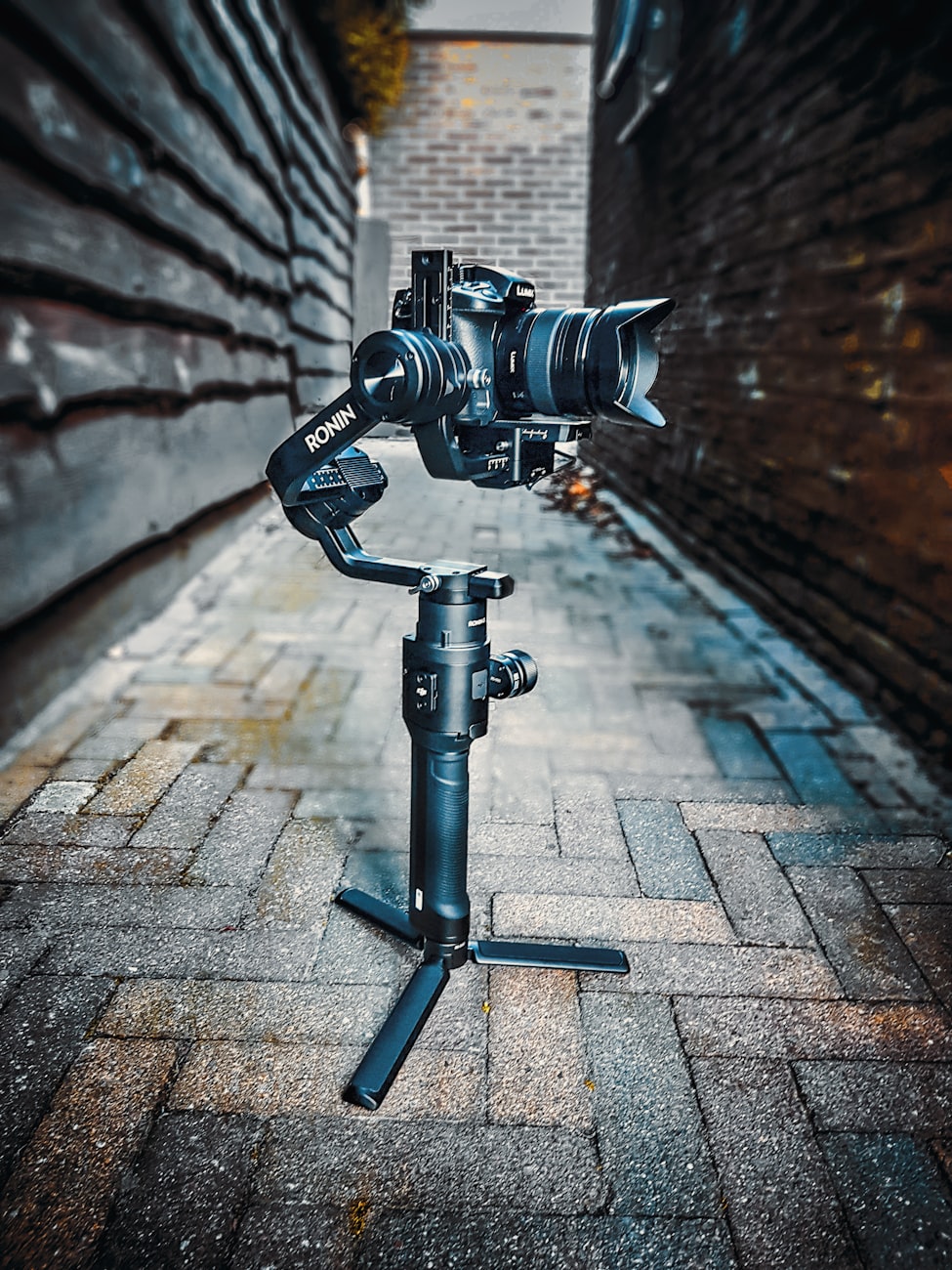 SM电影,艺术表达中的边缘与界限探索