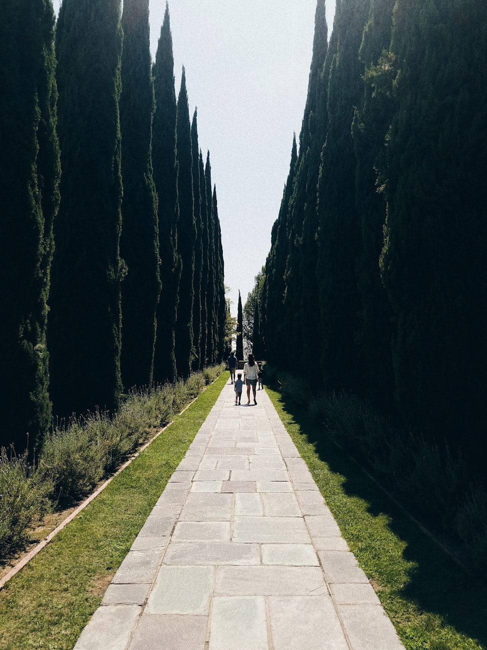 罗伯特·帕丁森最新动态揭秘，影视巨星的新征程之路