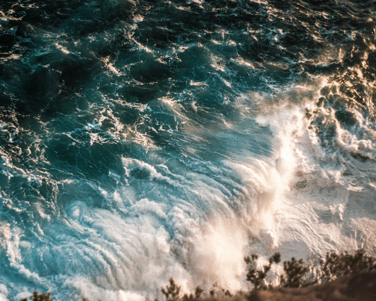 海洋神秘世界的奇幻之旅,电影人鱼探秘之旅