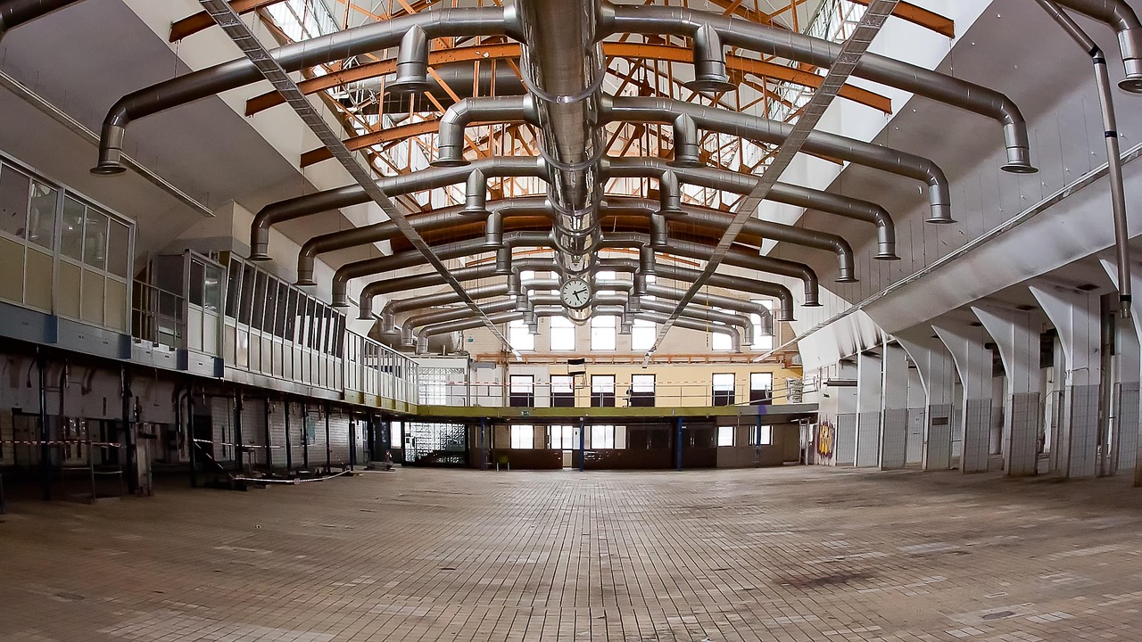 罗晰月最新动态,持续引领行业前沿,杰出表现再显风采