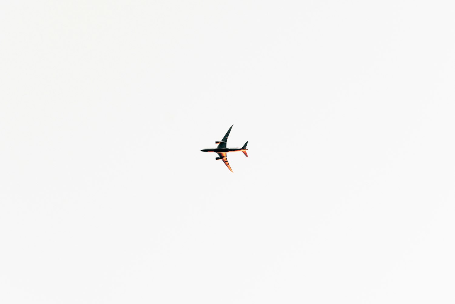 台州东山湖最新动态资讯概览