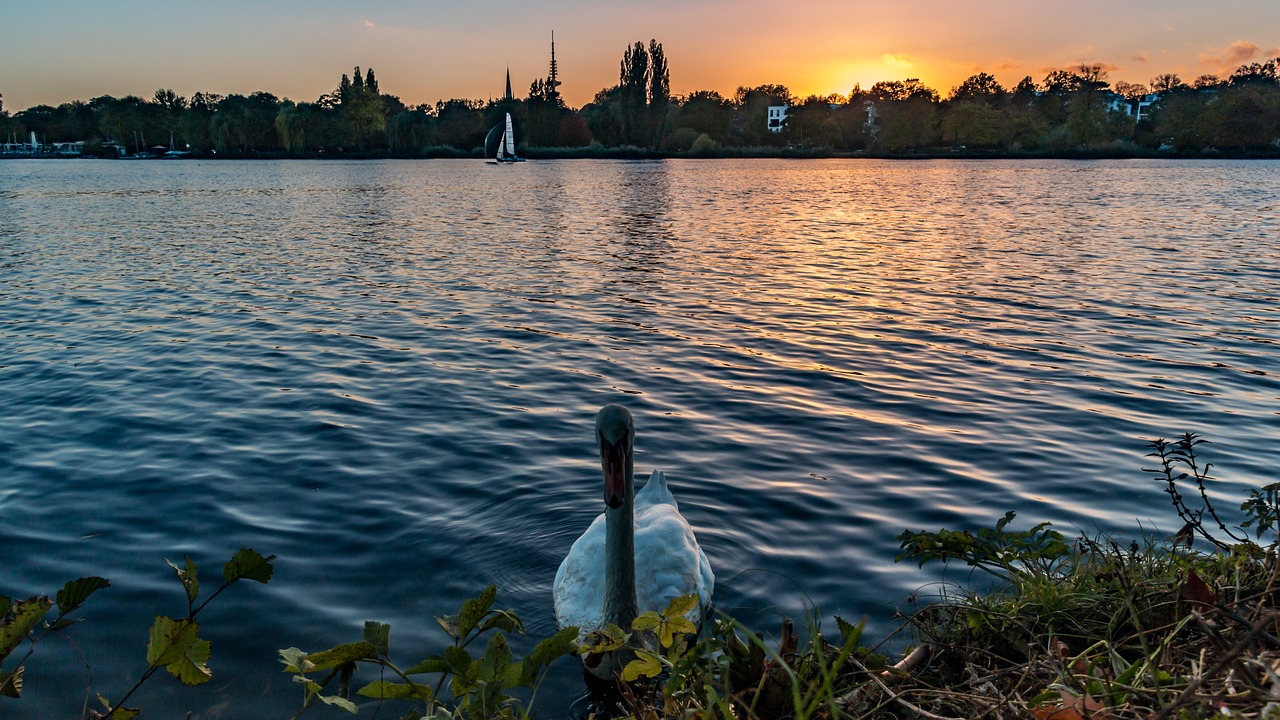 济宁太白湖新区最新动态,城市新名片蓬勃发展