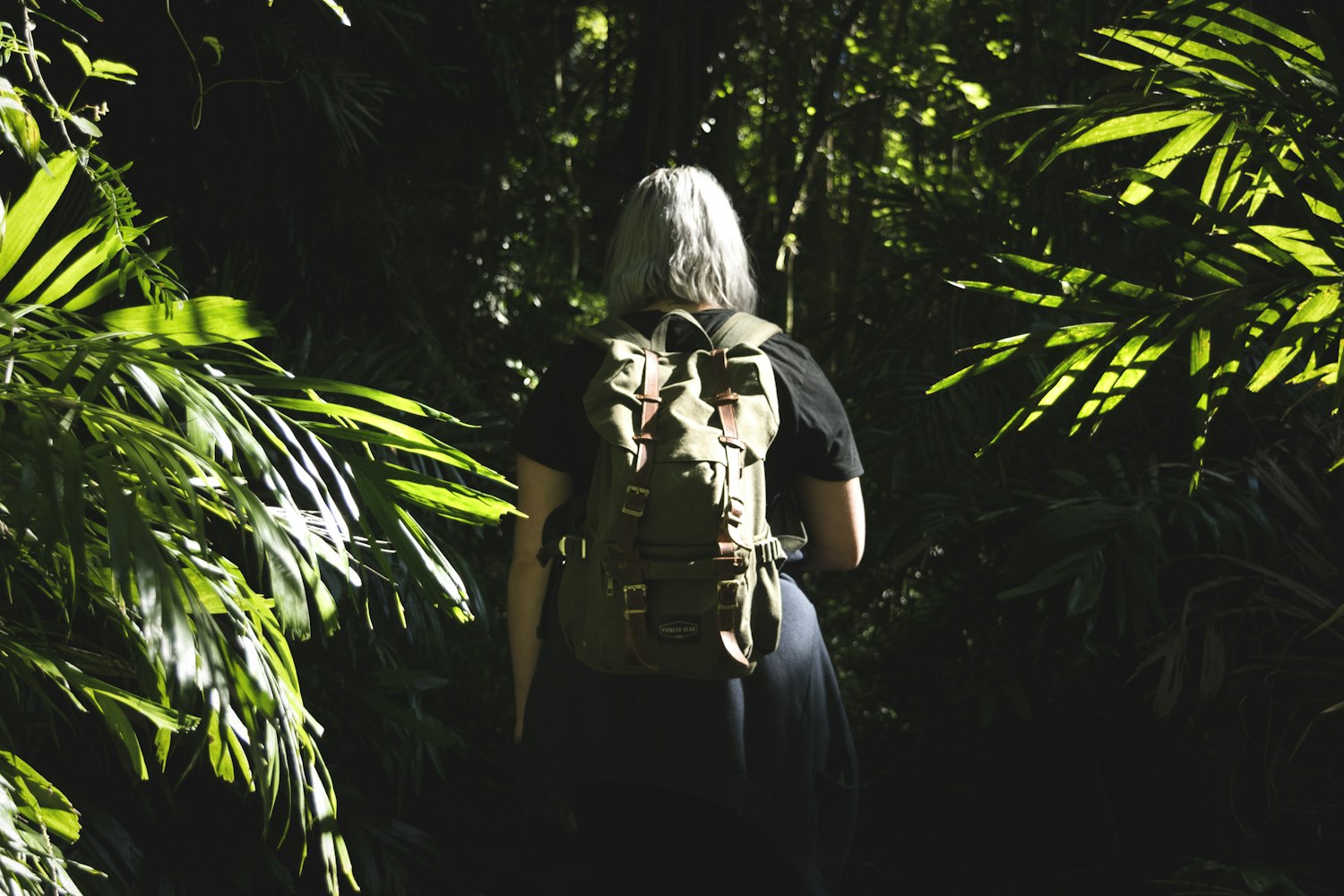 原石计划先锋步伐，最新动态探索未知领域