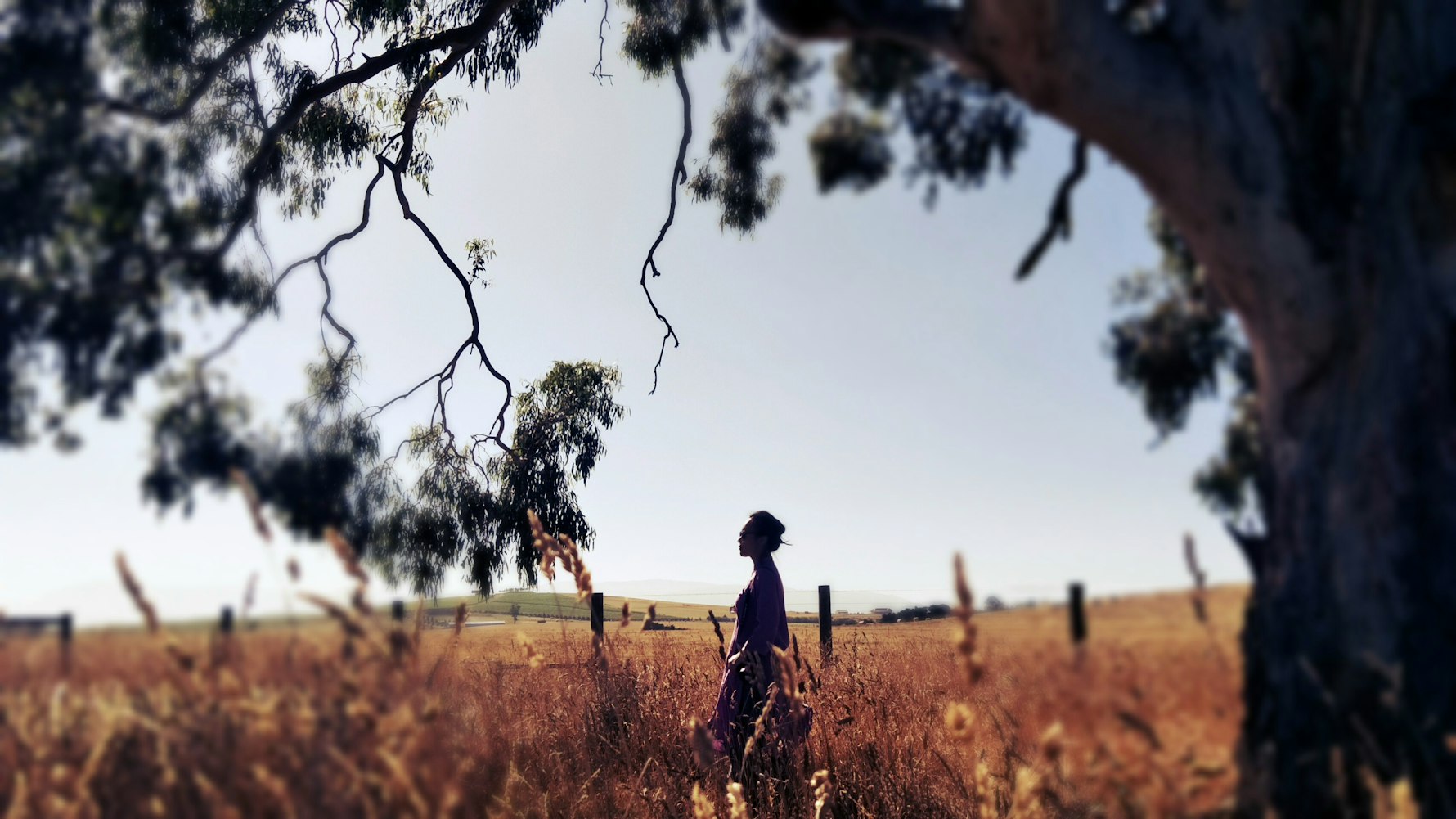 战狼2免费电影，热血与情感的碰撞盛宴