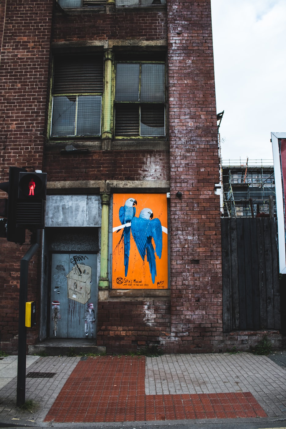 冰男孩最新动态揭秘，冷酷魅力背后的全新进展探索