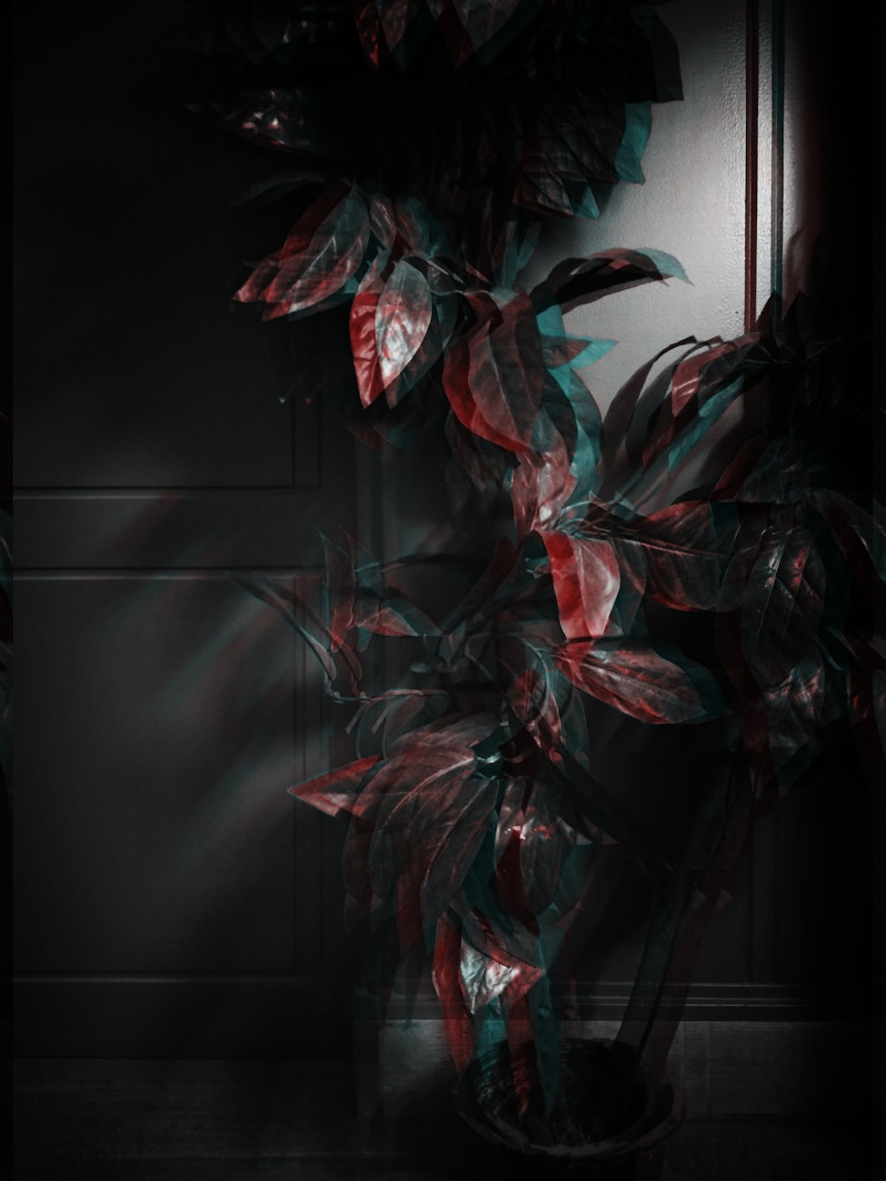 海阳吧最新动态深度解析，城市活力与热点聚焦