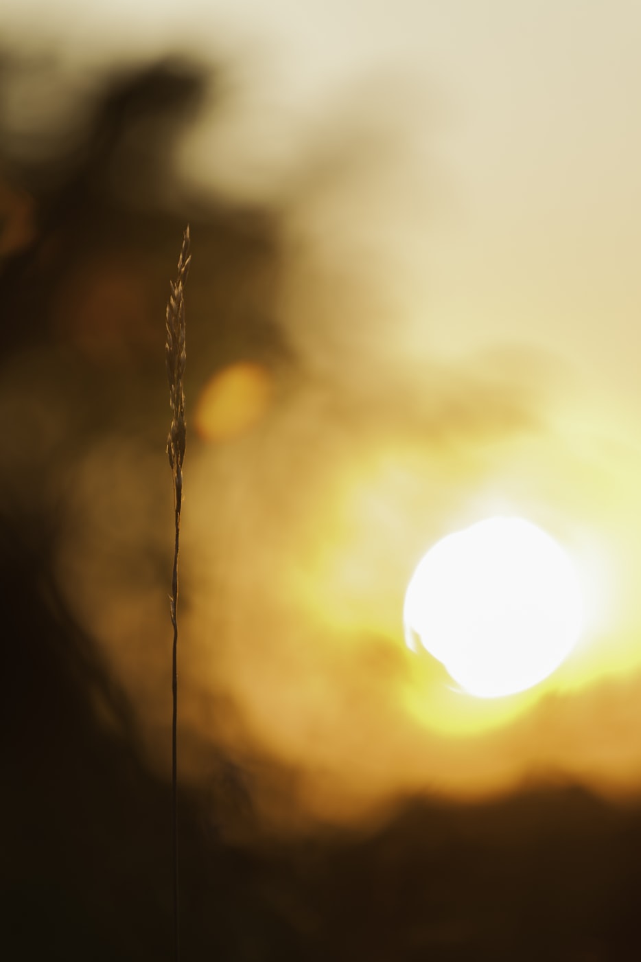 冰河铺子 第2页