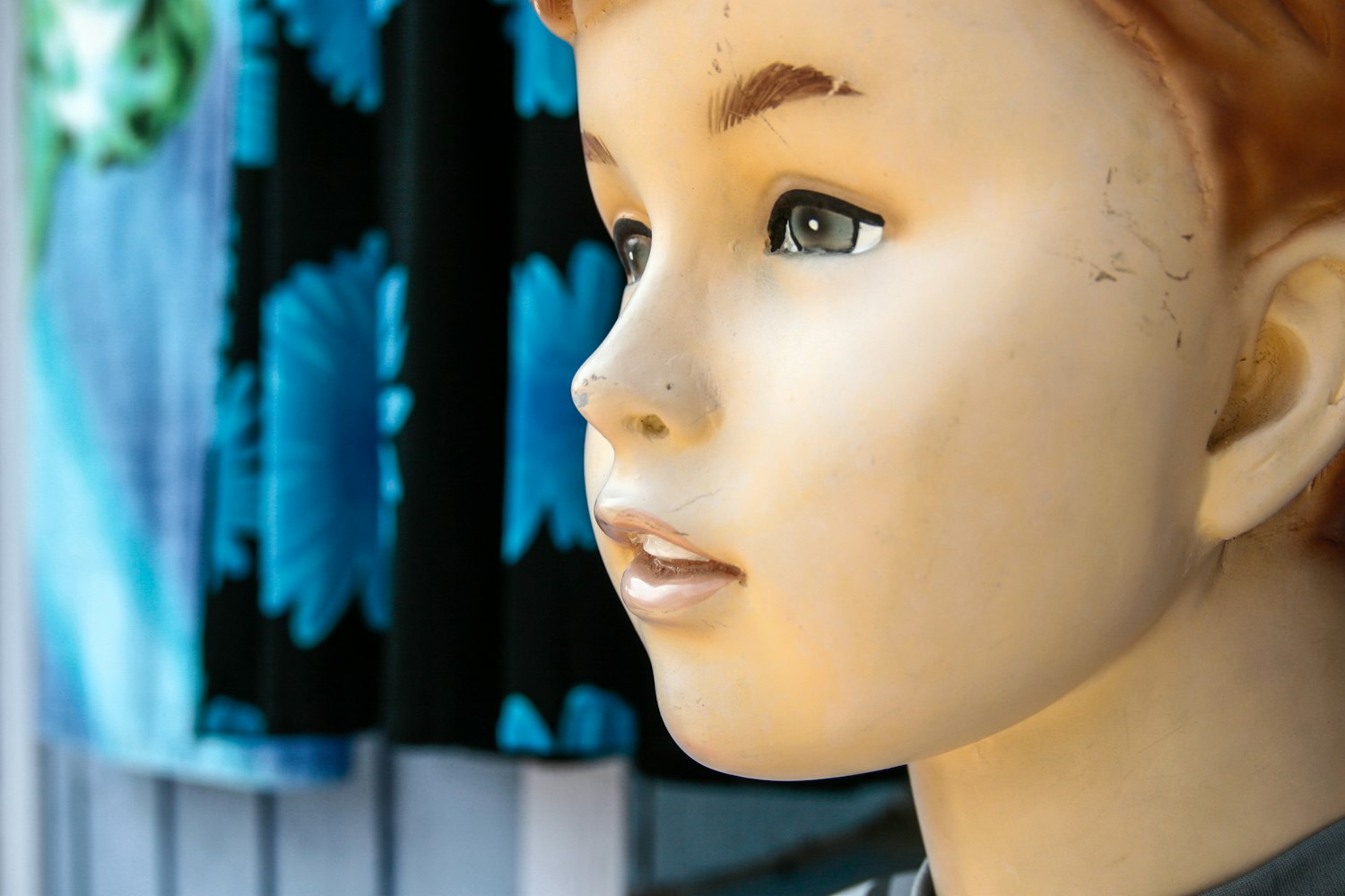 复婚明星，爱情与命运的重逢之路