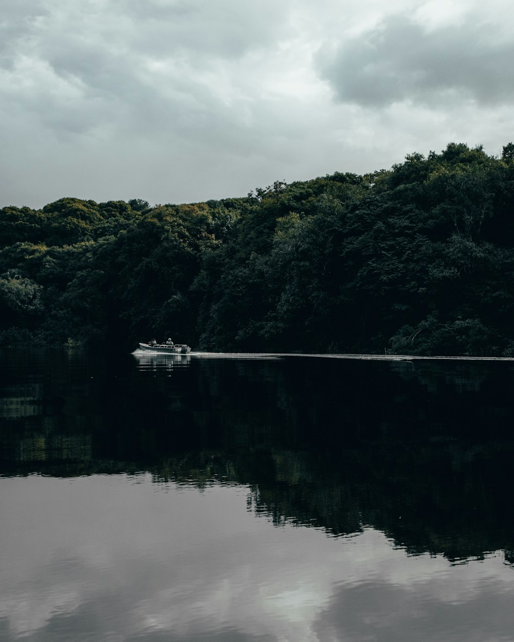 徐佳莹最新动态揭秘,音乐之旅开启新篇章