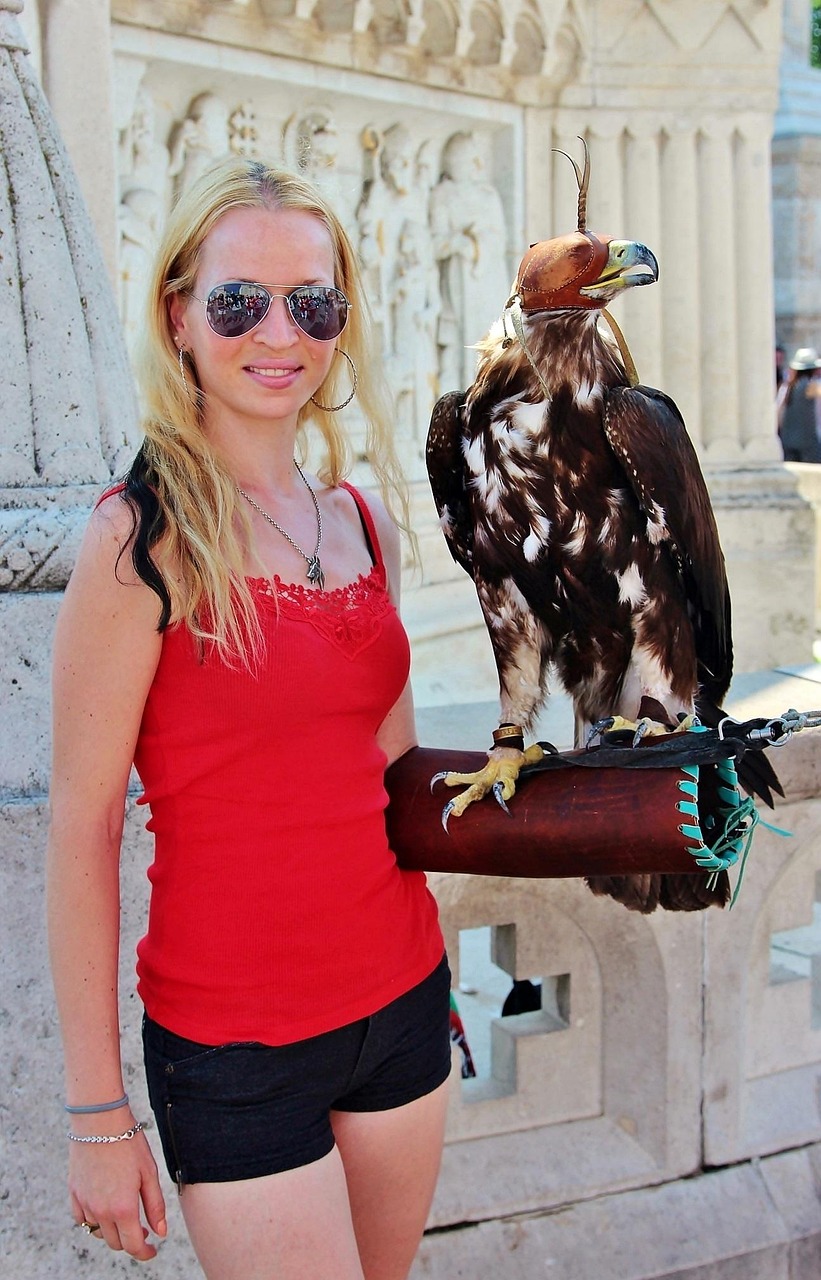 伊朗疫情最新动态,挑战、应对策略全面解析