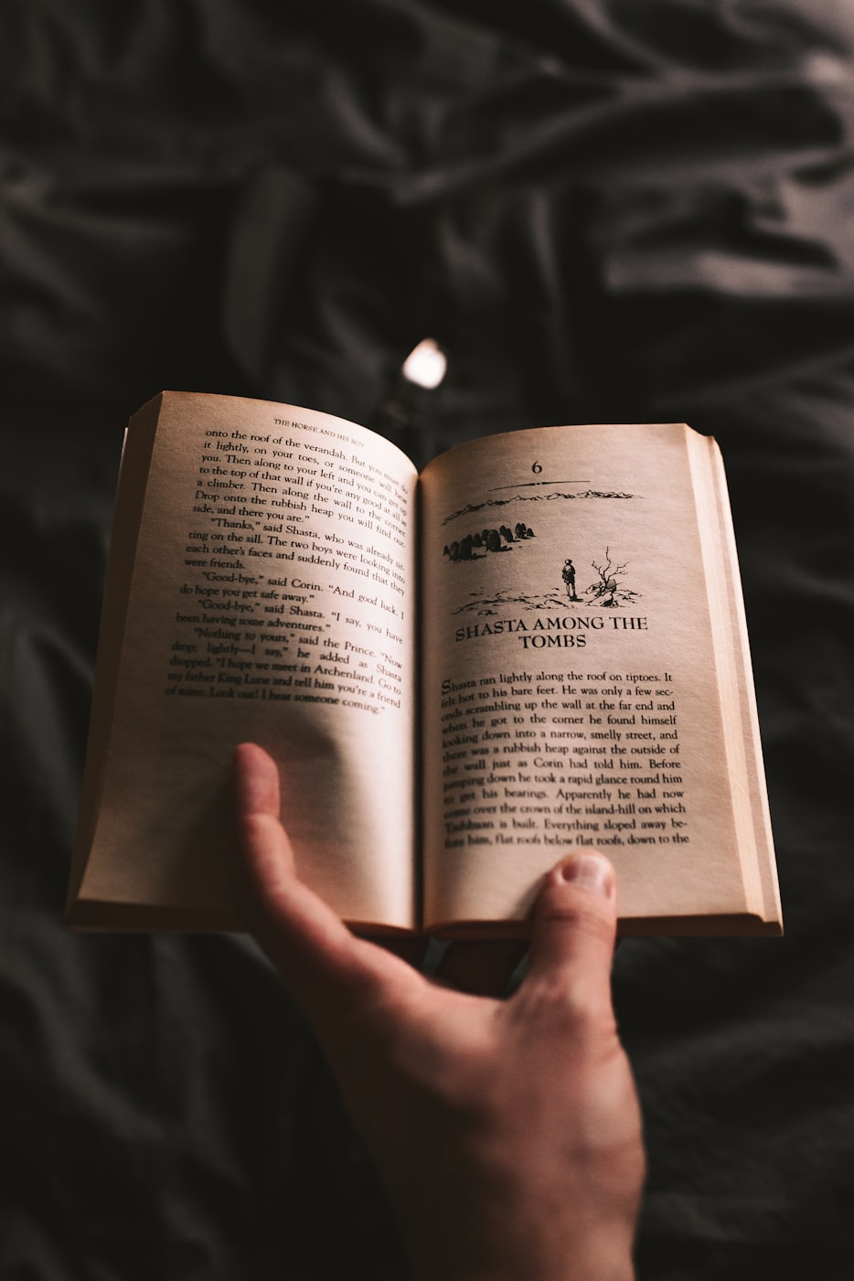 老王李芳芳新篇章揭秘，小说新章节深度解析