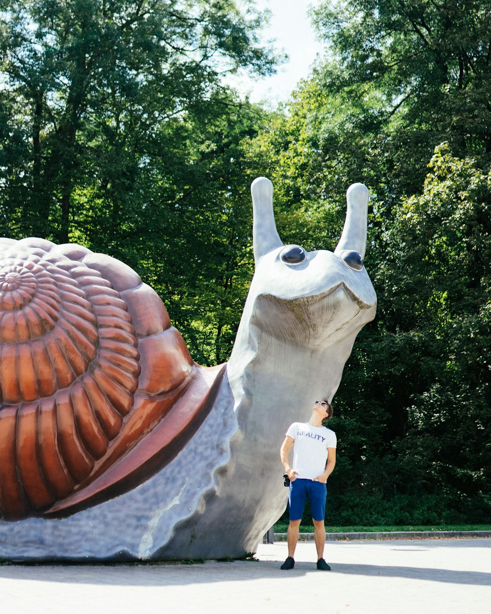 海南亚欧币最新动态，探索前沿市场的新机遇与挑战