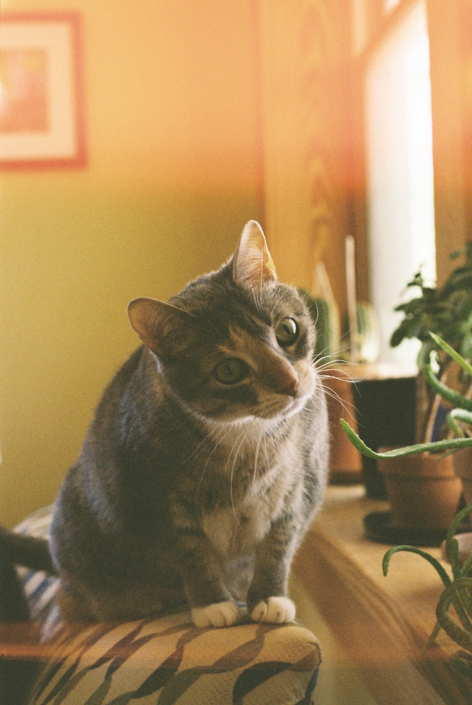 钱作怪，揭示人性多面性的演员群像剧