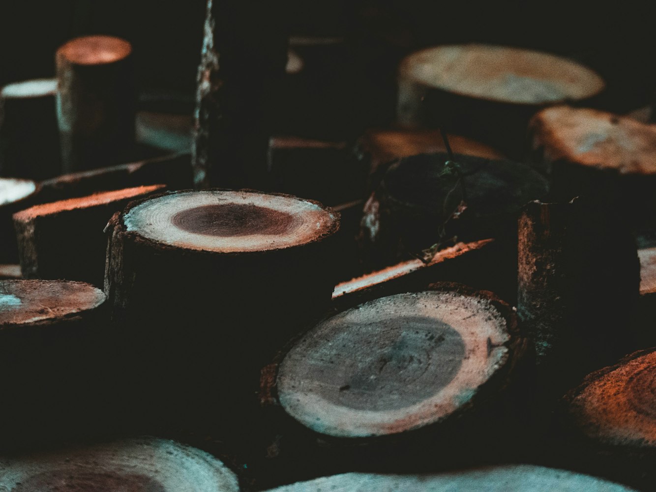 东阳最新资讯概览，时事动态一网打尽