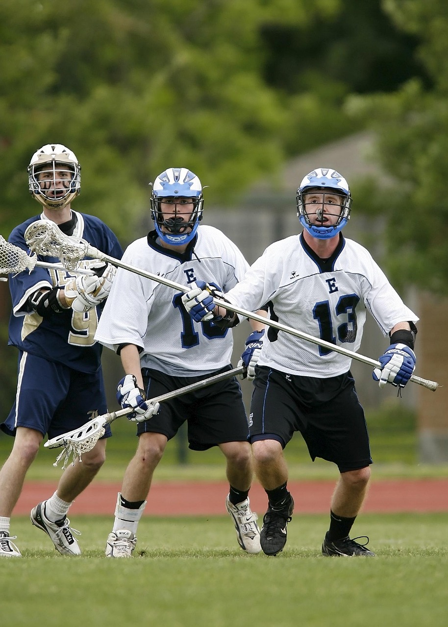 菏泽魏楼水库最新动态，发展与保护的和谐共进