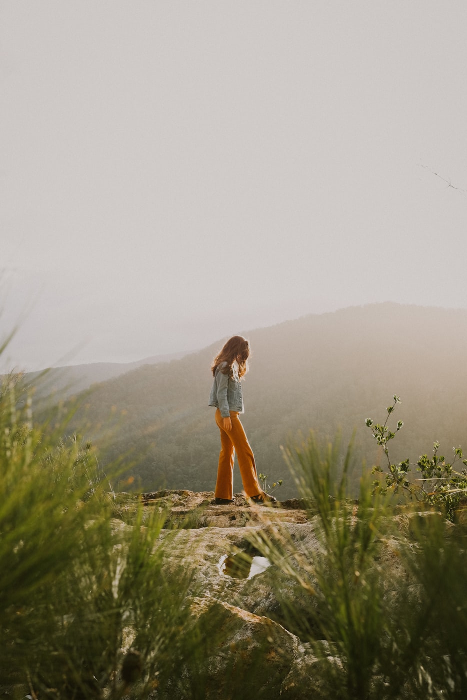 南派三叔创作之路的新篇章，最新动态揭秘