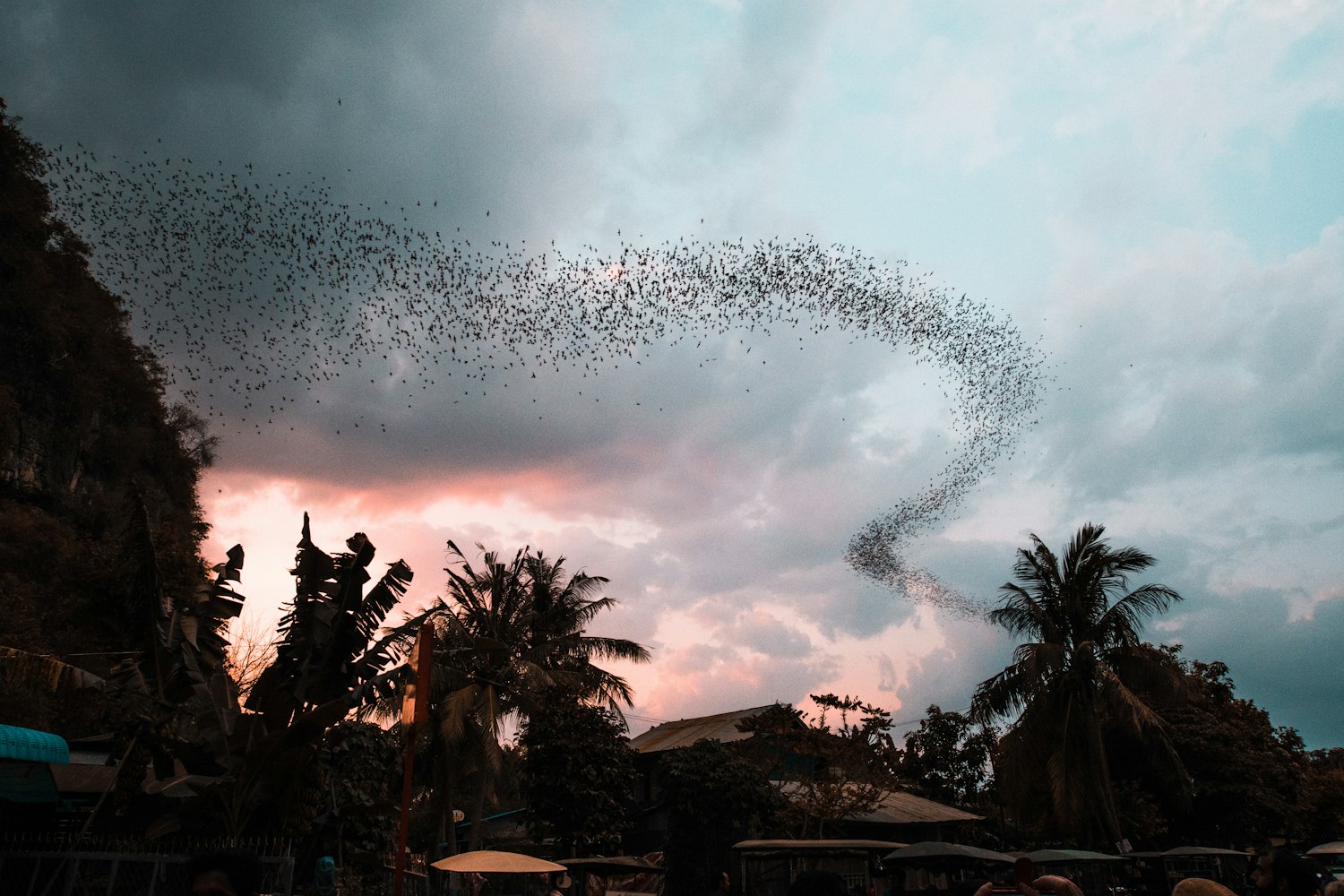 侠客动漫图片，魅力、影响与探索