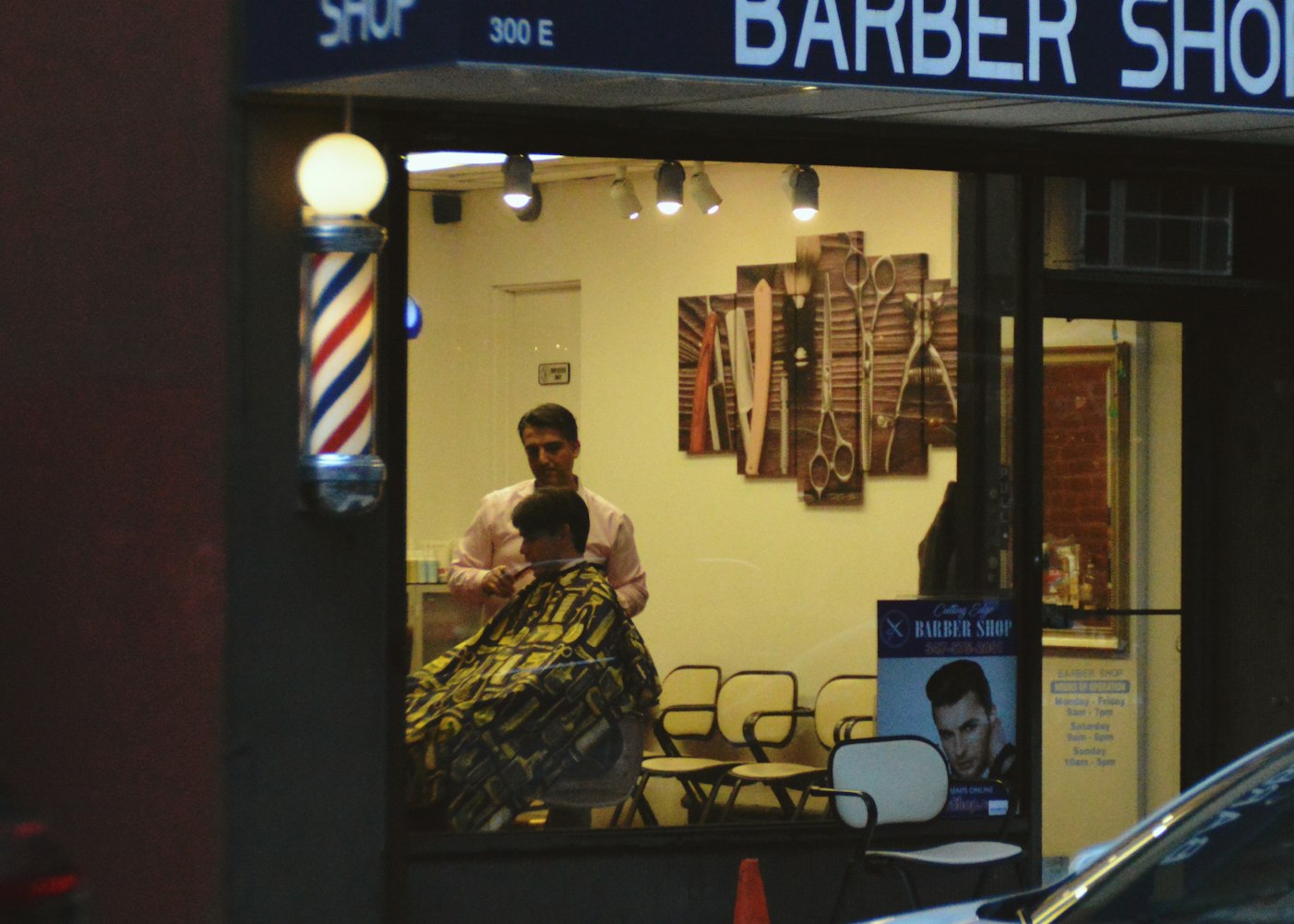 连翘最新动态，展现行业趋势与无限潜力