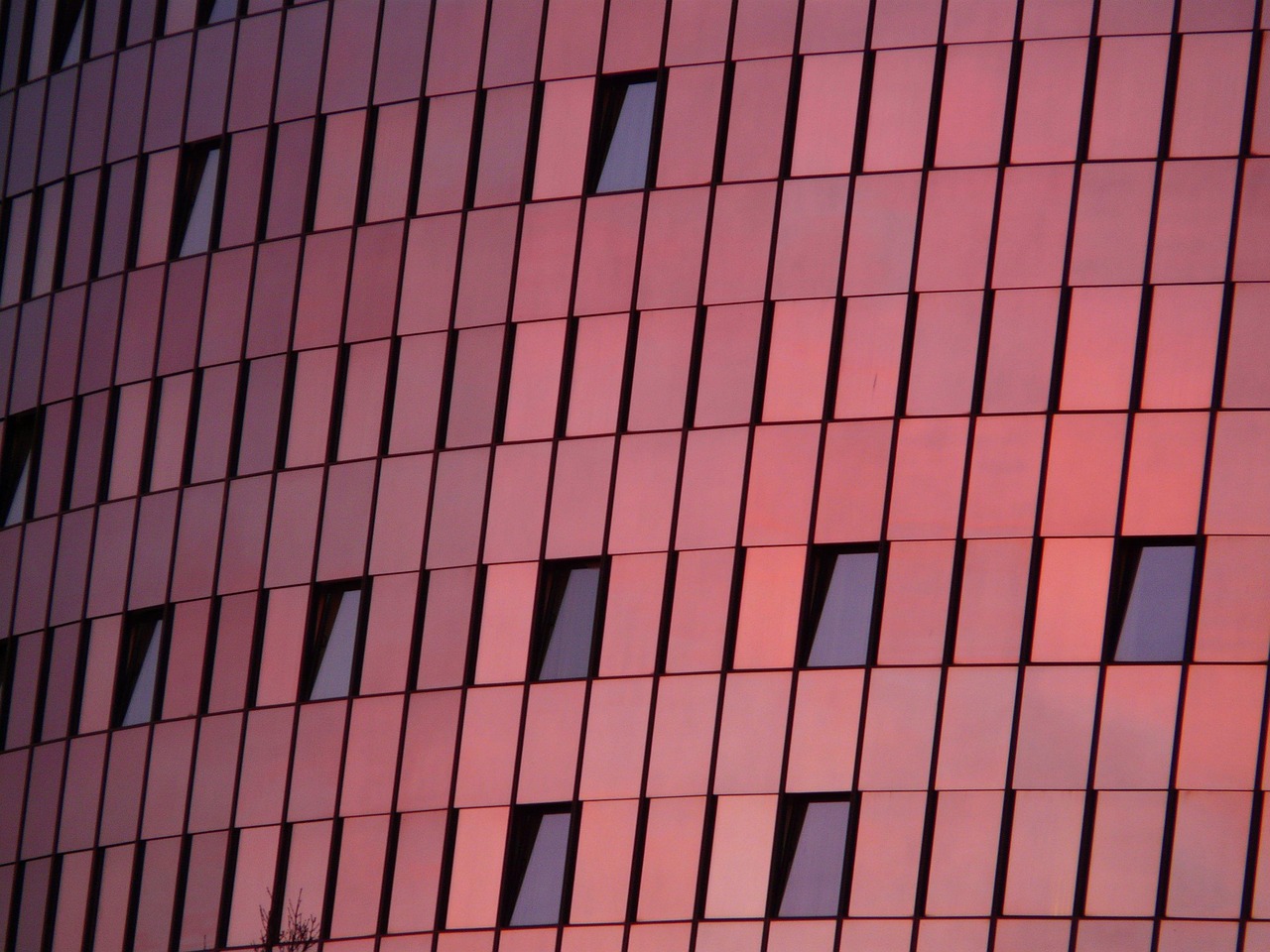 邵立春新动态，探索前沿，引领未来新趋势