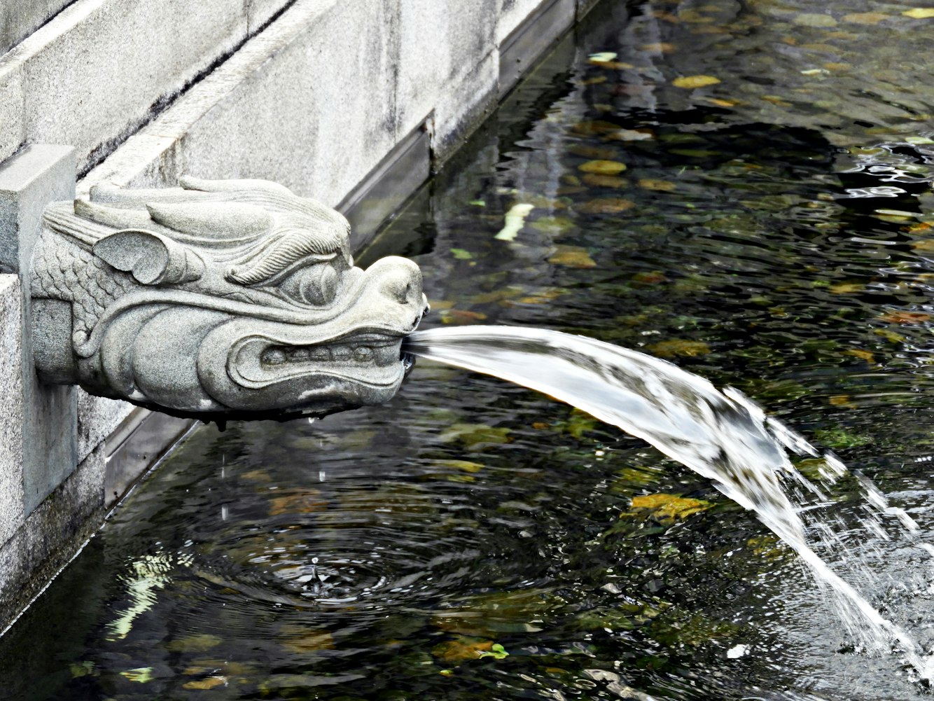 舞动自然美景与艺术韵律，最新广场舞