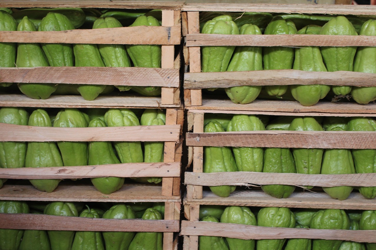 天水新鲜资讯，探索城市新动态，展现天水新风采