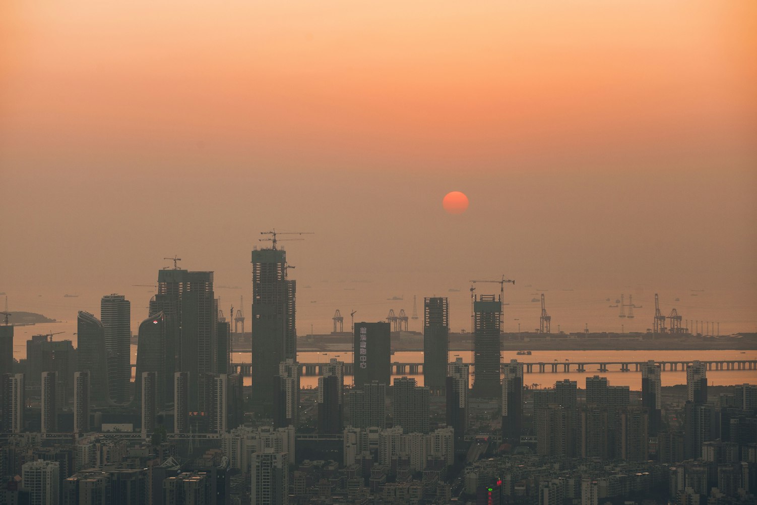 高州新鲜资讯，展现城市发展的活力与脉搏