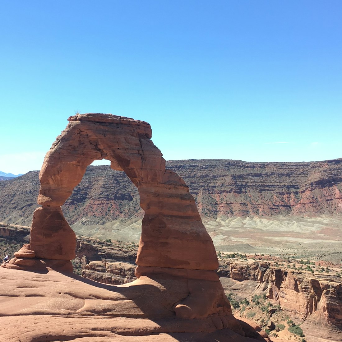 全球趋势下的美国际商业最新动态与机遇分析