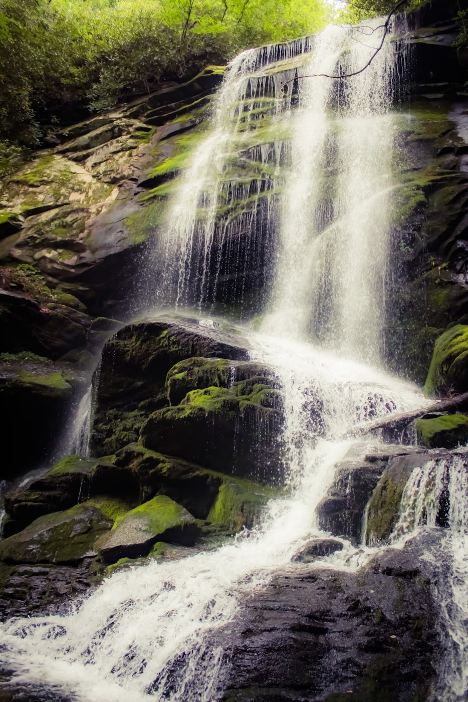东乡资讯速递，探索乡村发展最新动态与前景展望